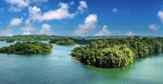 © Luis - stock.adobe.com