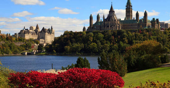 ©Andreas Edelmann - stock.adobe.com