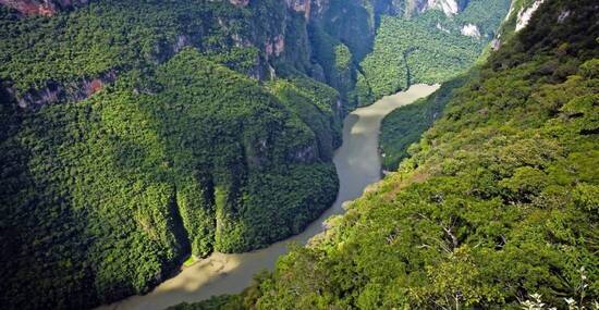 © sunsinger - Fotolia