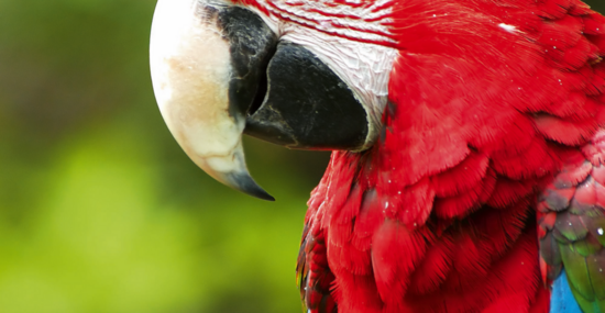 © Vladimir Wrangel - Fotolia