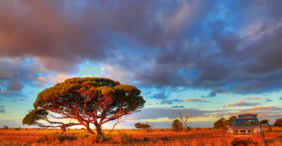 © totajla - Fotolia