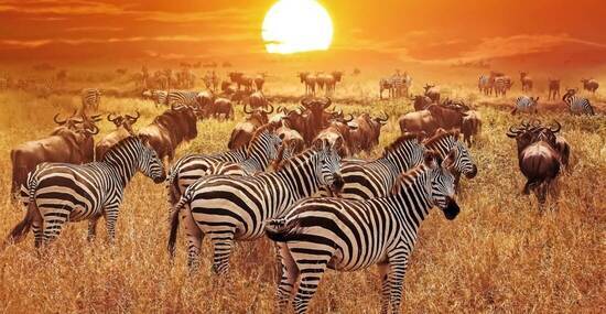 © delbars - stock.adobe.com