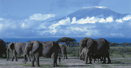 © Kenya Tourist Board