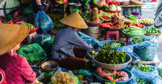 © monticellllo - stock.adobe.com