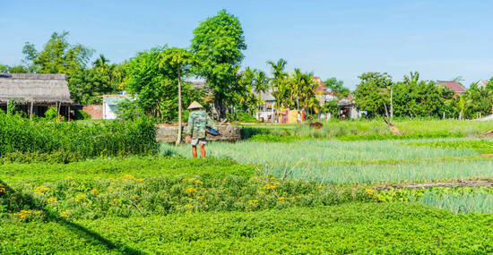 © Hien Phung - stock.adobe.com