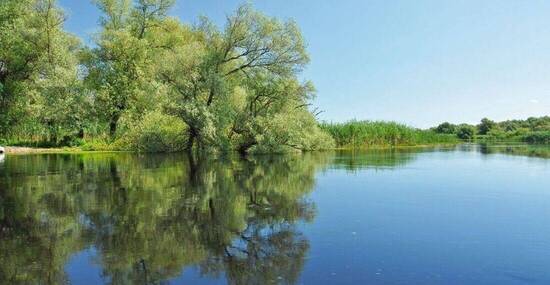 © salajean - Fotolia