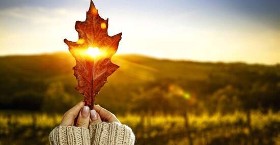 © magdal3na - stock.adobe.com