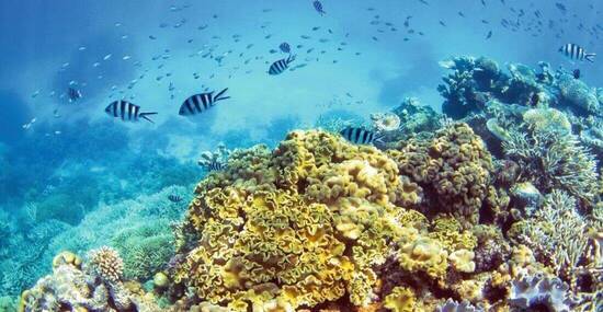 © tanyapuntti - Fotolia