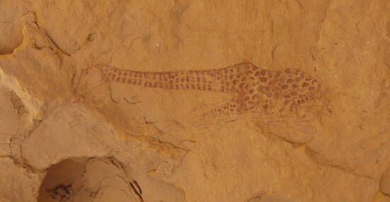 © Ikarus Tours/Seddik Mehiri