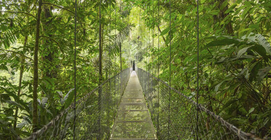 © PantherMedia / dmitriy-rnd