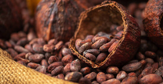 ©kaiskynet - stock.adobe.com