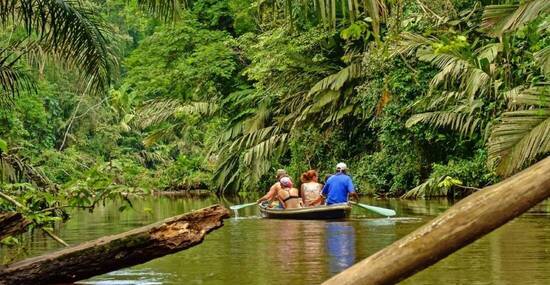 © zampe238 - stock.adobe.com