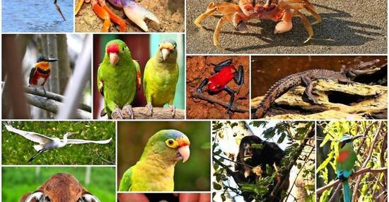 © Marco Desscouleurs - stock.adobe.com