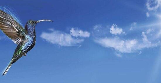 © frogger - Fotolia