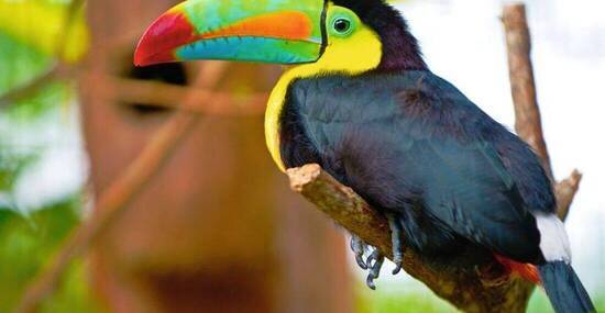 © AustralianDream - Fotolia