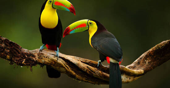 © ondrejprosicky - stock.adobe.com