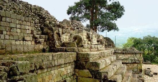 © ftlaudgirl - Fotolia