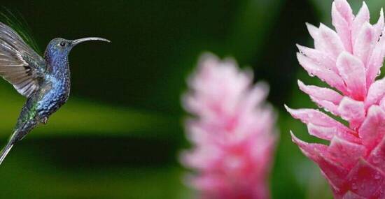 © frogger - Fotolia