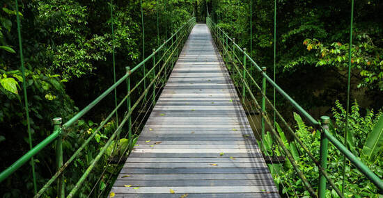 ©Jeroen - stock.adobe.com