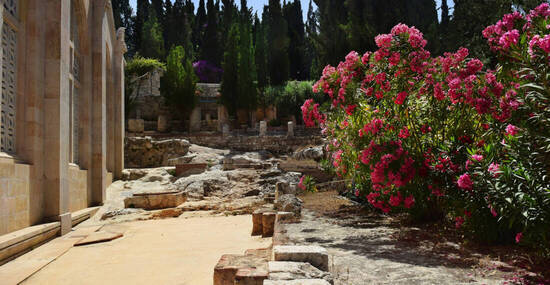 ©irisphoto1 - stock.adobe.com