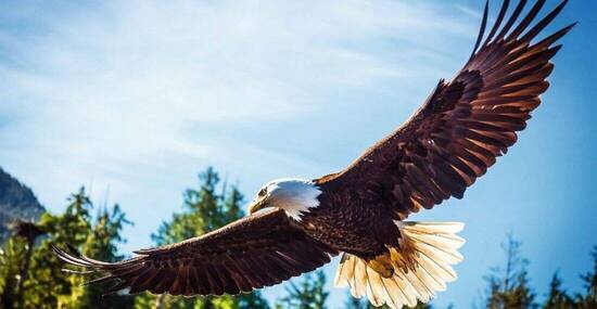 © Allen.G - Fotolia