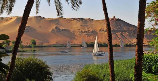 © fgeoffroy - stock.adobe.com