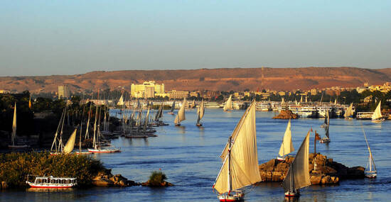 ©dietwalther - stock.adobe.com