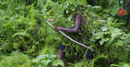 Heritage Expeditions