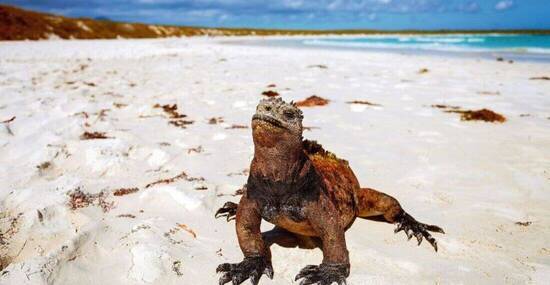 © sunsinger - Fotolia