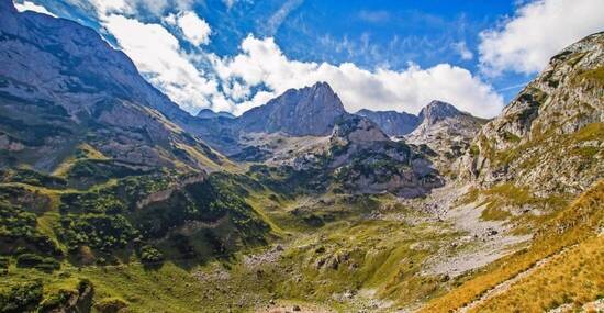 © Andrei Pozharskiy - stock.adobe.com