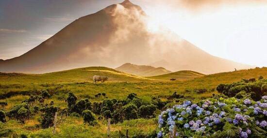 © rvdschoot - Fotolia