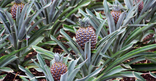 ©karnizz - stock.adobe.com