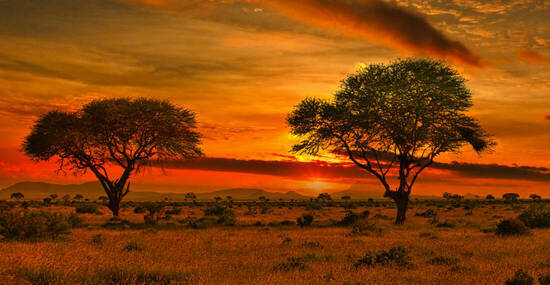 © Mit *HPS* auf Reisen - stock.adobe.com