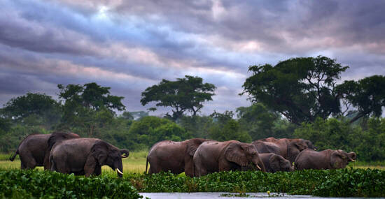 © ondrejprosicky - stock.adobe.com