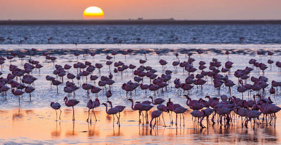 © JUAN CARLOS MUNOZ - stock.adobe.com