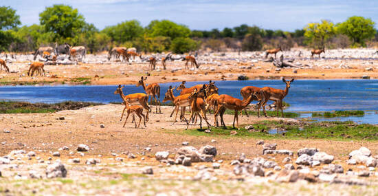 © Stephan Röger - stock.adobe.com