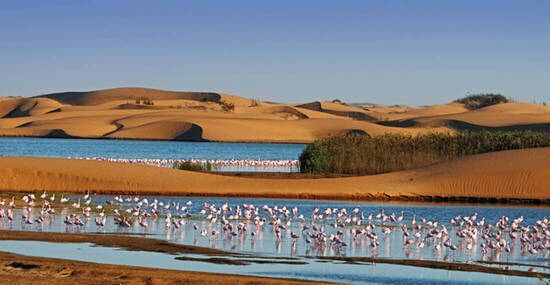 © Claude Huot - stock.adobe.com