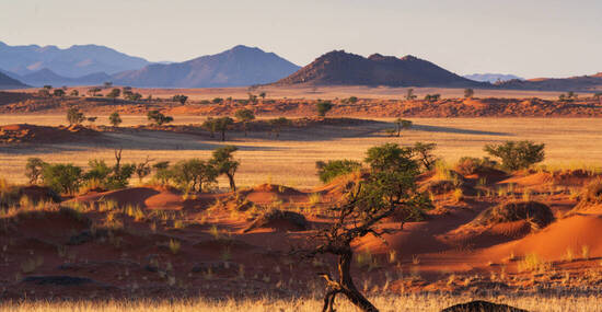 © Manok - stock.adobe.com