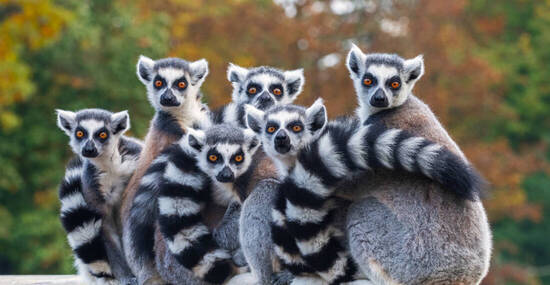 © ptashkan - stock.adobe.com