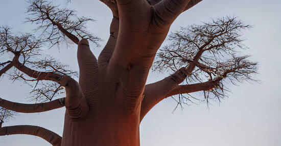 © Paulina - stock.adobe.com