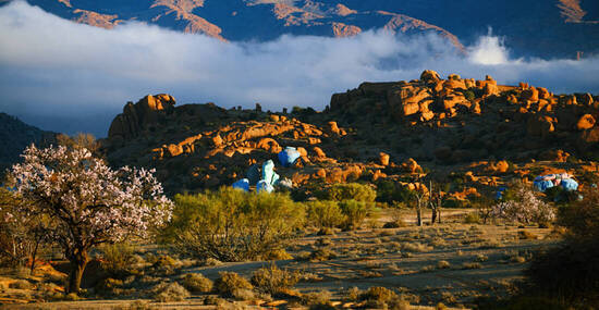 ©Elena Moiseeva - stock.adobe.com