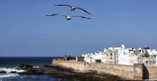 © Marokko Inside/Ersel Karaman