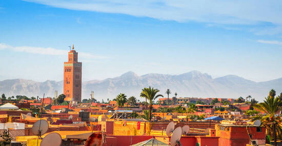 ©Olena Z - stock.adobe.com