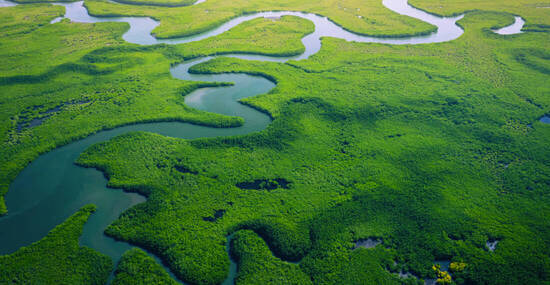 © Curioso.Photography - stock.adobe.com