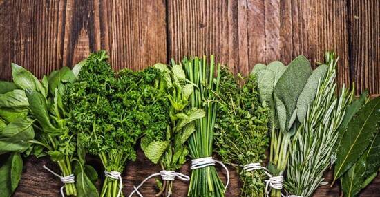 © marcin jucha - Fotolia