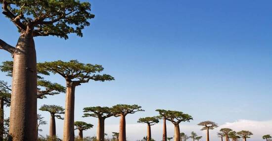 © Pierre-Jean DURIEU - stock.adobe.com