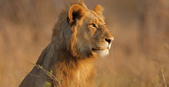 © EcoView - stock.adobe.com