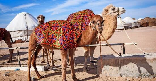 © AnyaNewrcha - stock.adobe.com