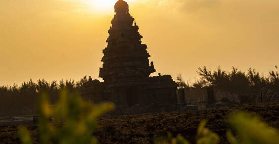 ©bala - stock.adobe.com