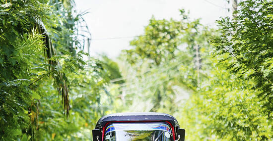 © Getty Images/iStockphoto